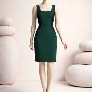 Robbi & Nikki Green & Black Sleeveless Dress.